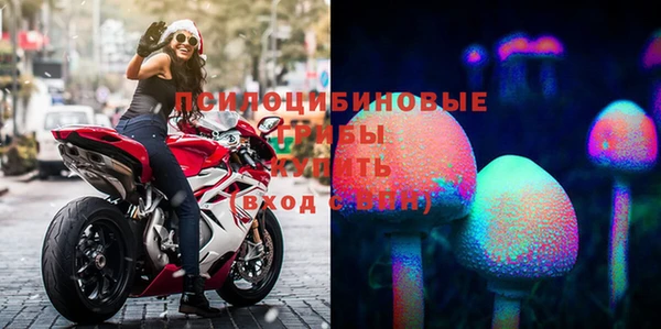 а пвп мука Белокуриха
