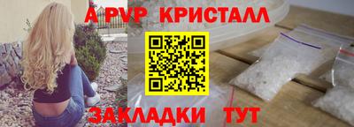 стаф Дубна