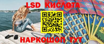 стаф Дубна