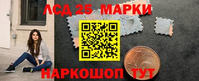 стаф Дубна