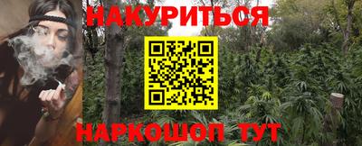 стаф Дубна