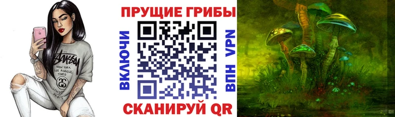 закладки  Печора  KRAKEN зеркало  Псилоцибиновые грибы Psilocybine cubensis 