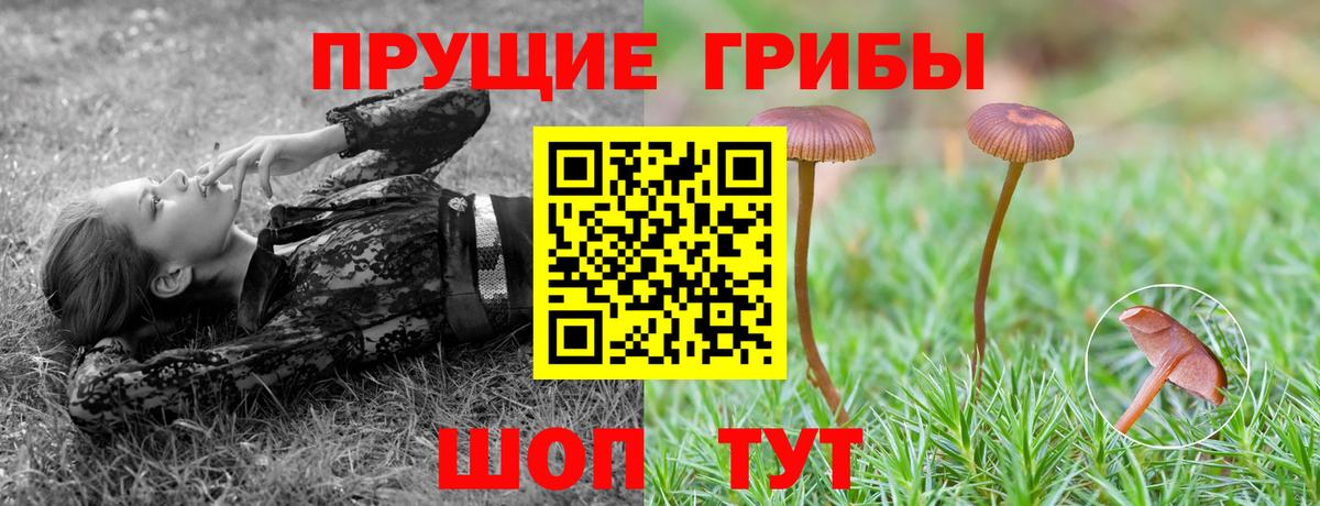 Псилоцибиновые грибы Cubensis  Вход с VPN  Галлюциногенные грибы мухоморы  Печора 